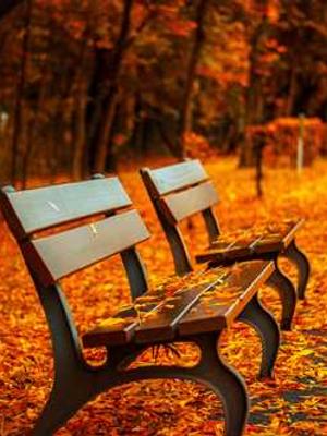 9.1樱花动漫免费动漫高清版 - 9.1樱花动漫免费动漫高清版最新版直接观看 - 封面